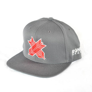 Ronin Logo Snapback Hat – Ronin Brand